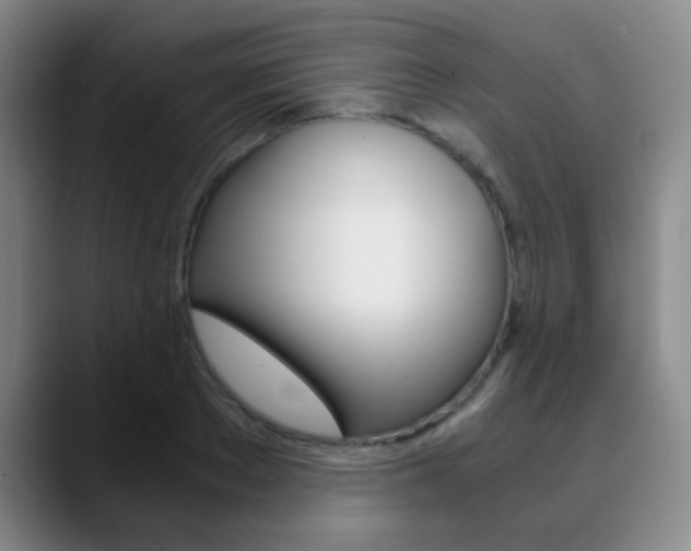X0000090740889200707201011