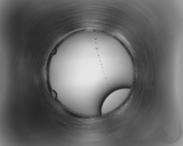X0000090740891200707201011