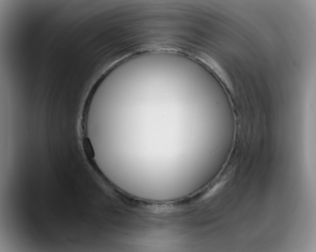 X0000090740893200707201011