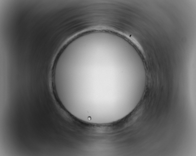 X0000090740895200707201011