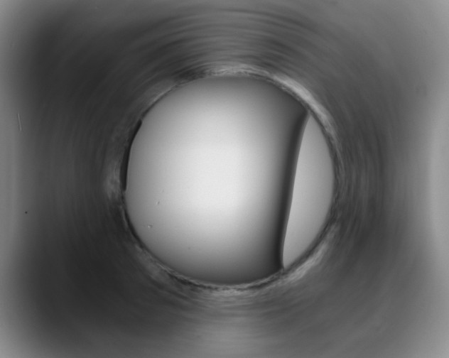 X0000090740897200707201011