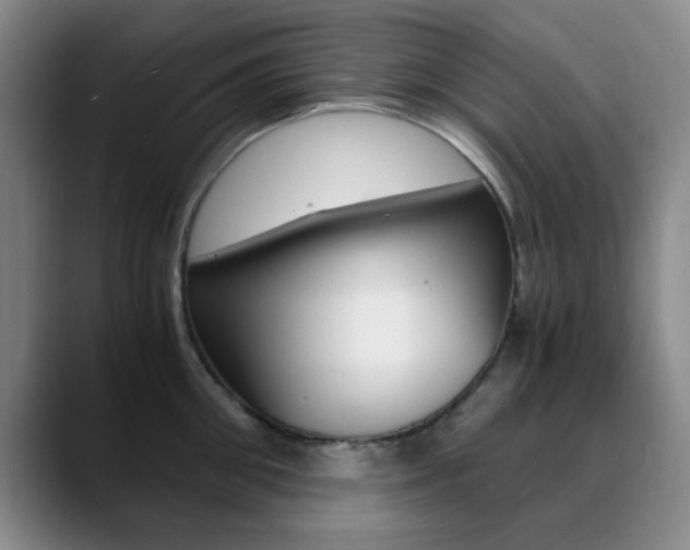 X0000090740906200707201011