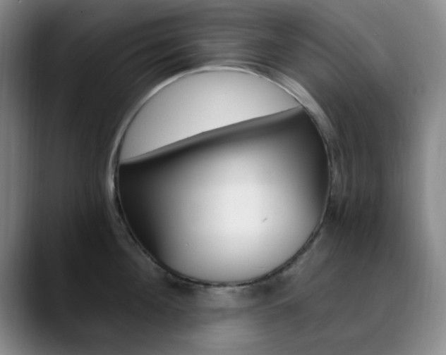 X0000090740908200707201011