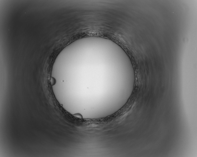 X0000090740913200707201010