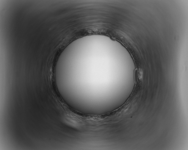 X0000090740915200707201010