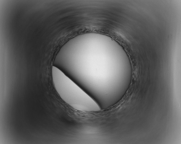 X0000090740917200707201010