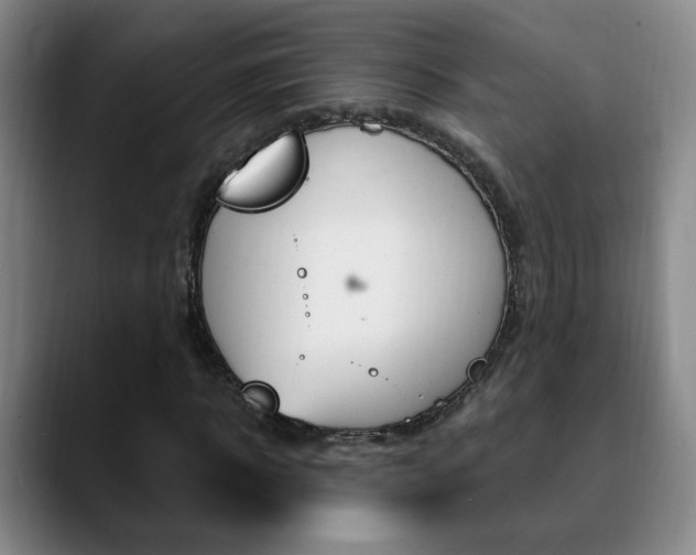 X0000090740918200707201010