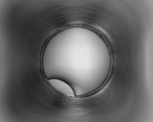 X0000090740921200707201010