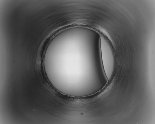 X0000090740923200707201010