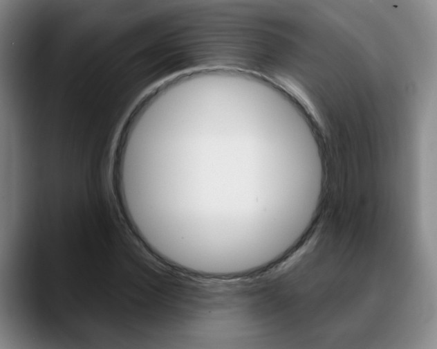 X0000090740924200707201010