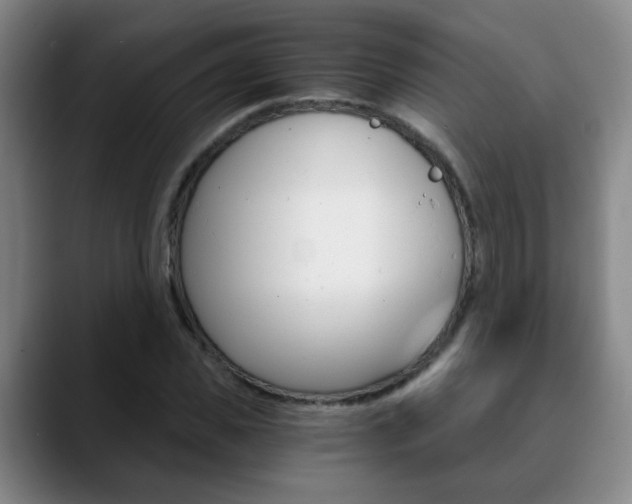 X0000090740925200707201010