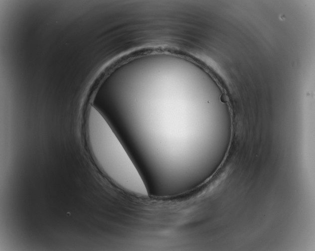 X0000090740927200707201010