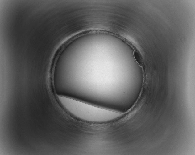 X0000090740928200707201010