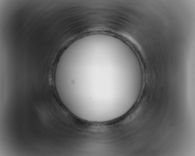 X0000090740929200707201010