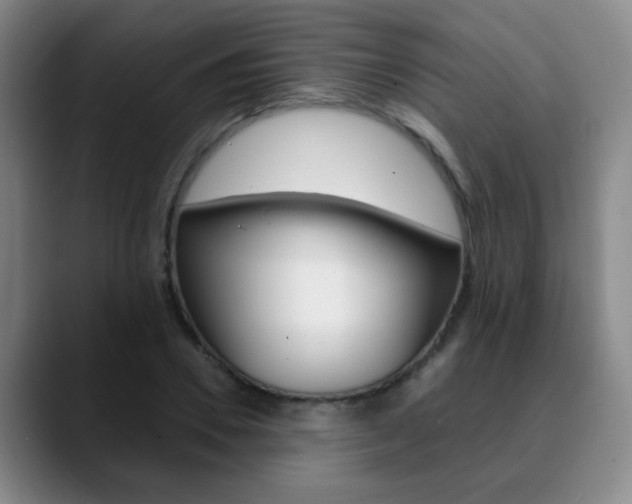 X0000090740930200707201010