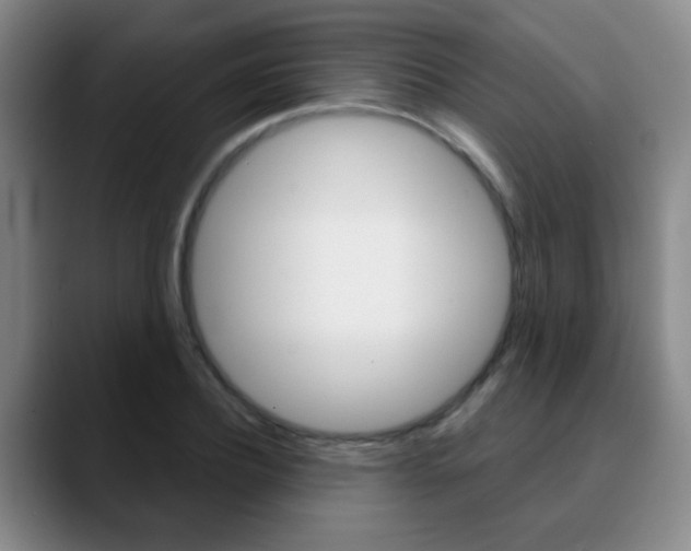 X0000090740932200707201010