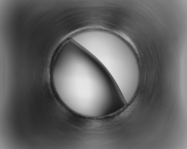 X0000090740935200707201010