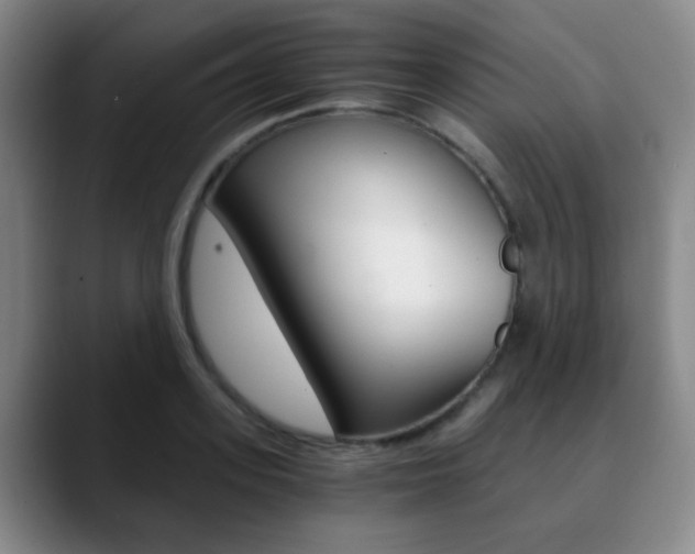 X0000090740939200707201011