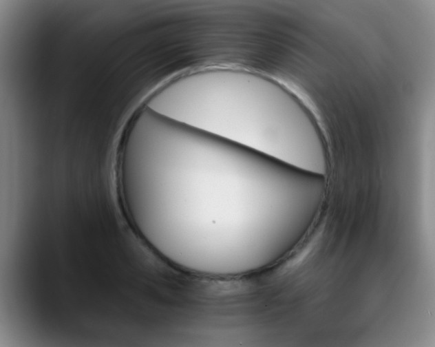 X0000090740941200707201011