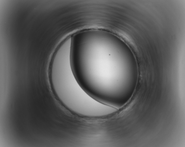 X0000090740942200707201011