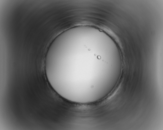 X0000090740945200707201011