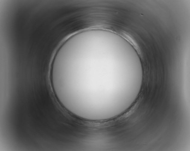 X0000090740948200707201011