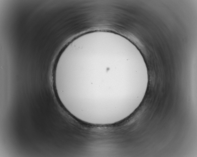 X0000090740950200707201011