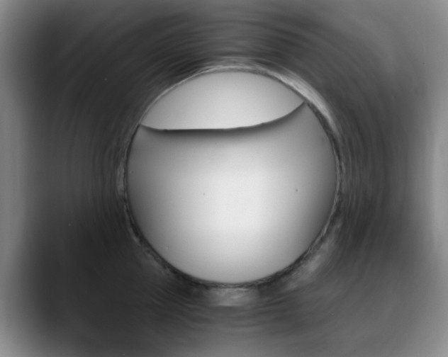 X0000090740953200707201011