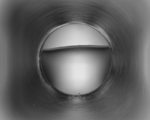 X0000090740955200707201011