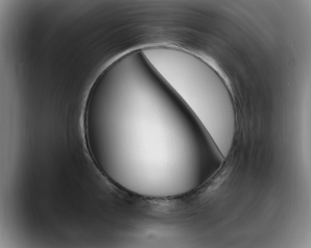 X0000090740959200707201011