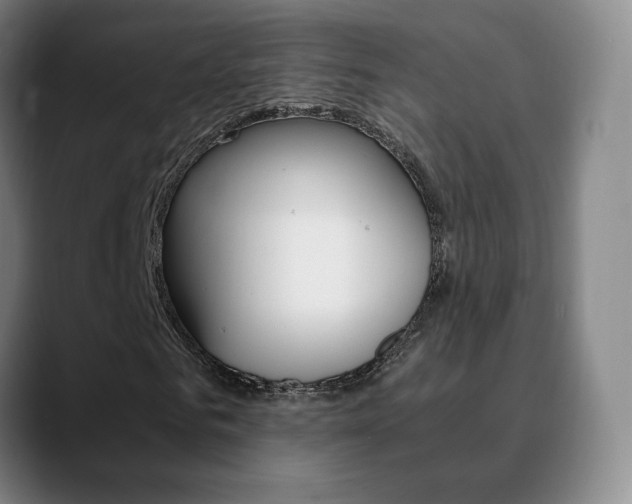 X0000090740961200707201010