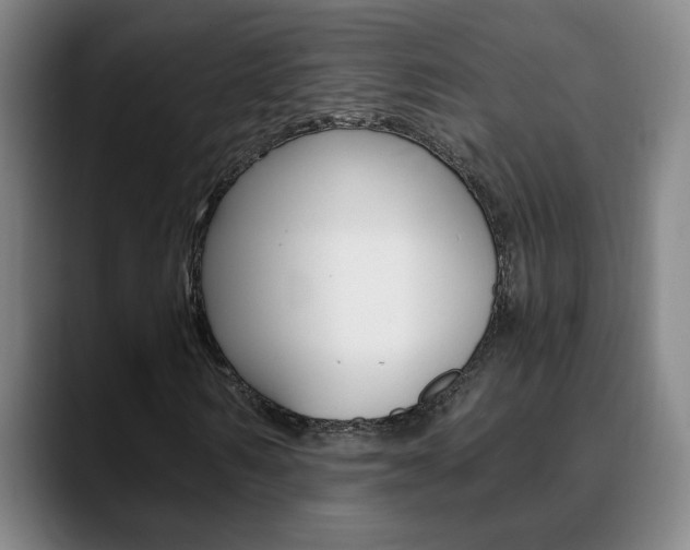 X0000090740962200707201010