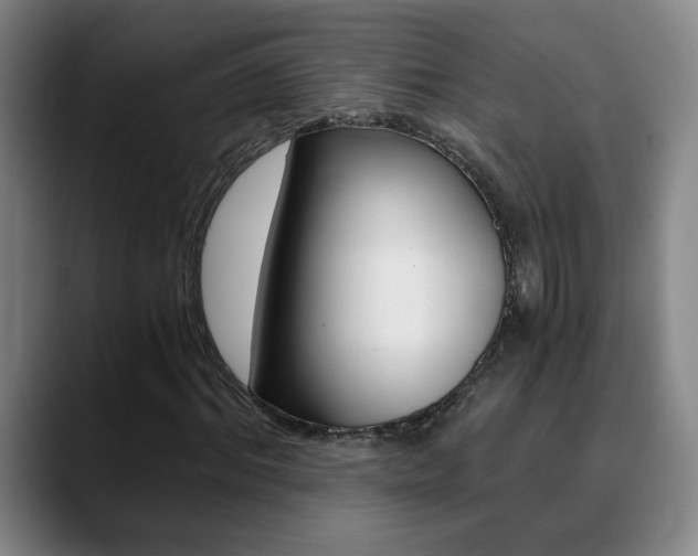 X0000090740964200707201010