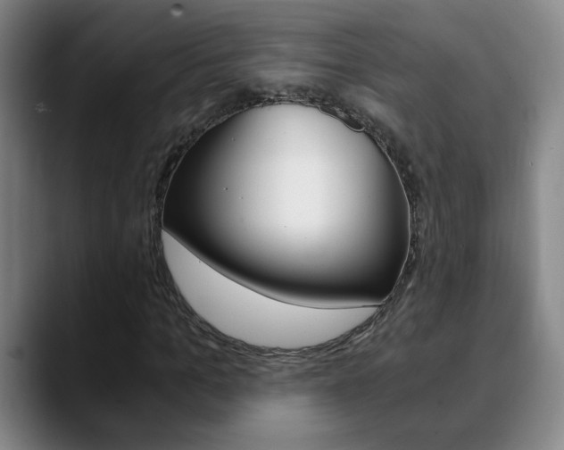 X0000090740965200707201010