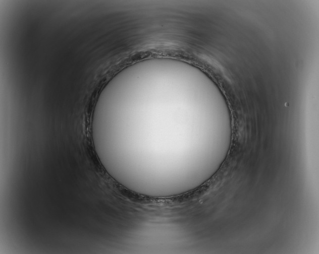 X0000090740966200707201010