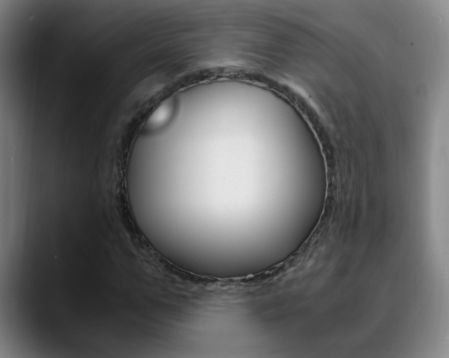 X0000090740967200707201010