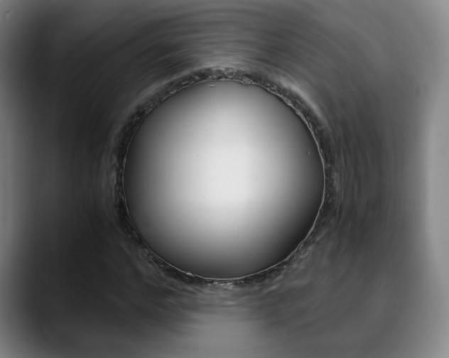 X0000090740968200707201010