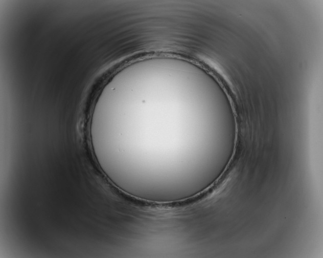 X0000090740971200707201010