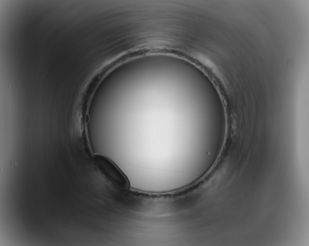 X0000090740973200707201010