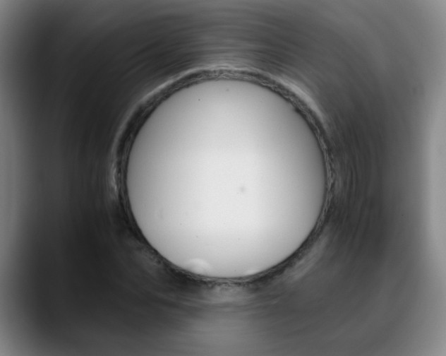 X0000090740974200707201010