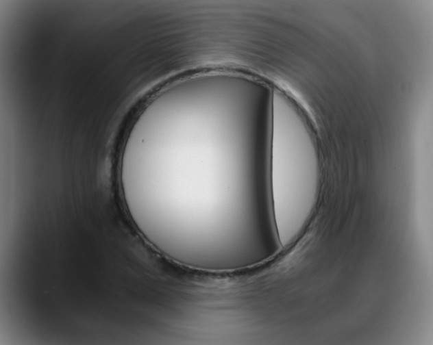 X0000090740975200707201010