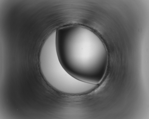X0000090740977200707201010