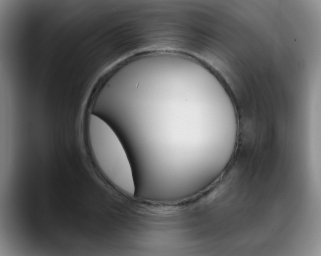 X0000090740982200707201010