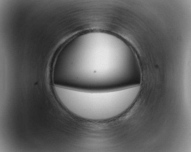 X0000090740983200707201010