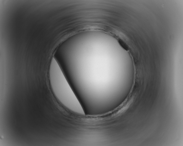 X0000090740985200707201010