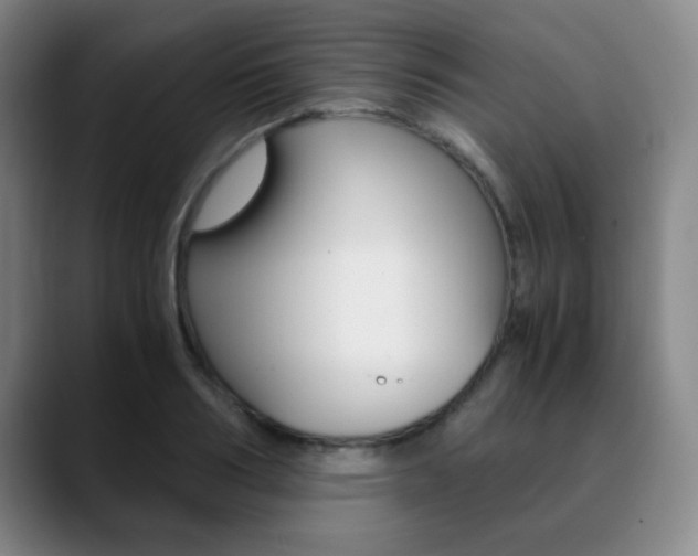 X0000090740986200707201010