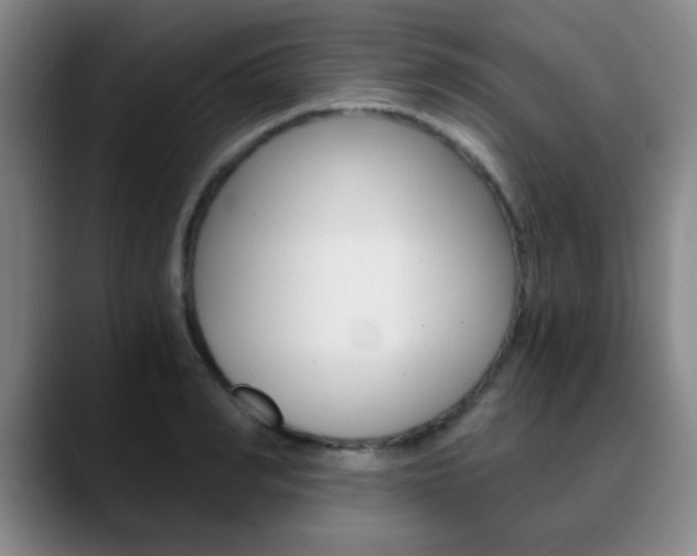 X0000090740990200707201010