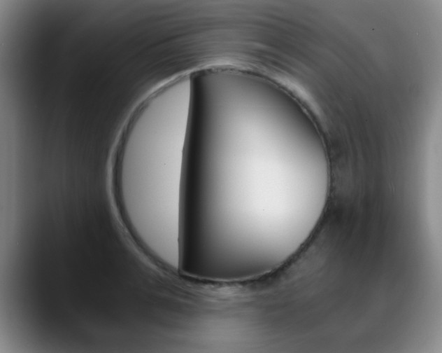 X0000090740991200707201010