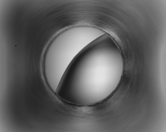 X0000090740992200707201010