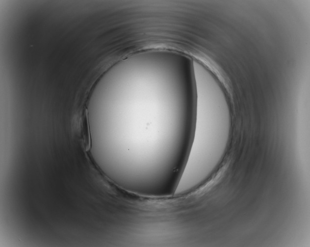 X0000090740993200707201010